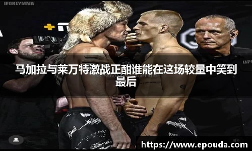 HB火博官方网站