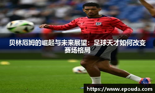 HB火博官方平台